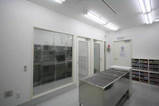 山梨県上野原市 コモア杜の動物病院